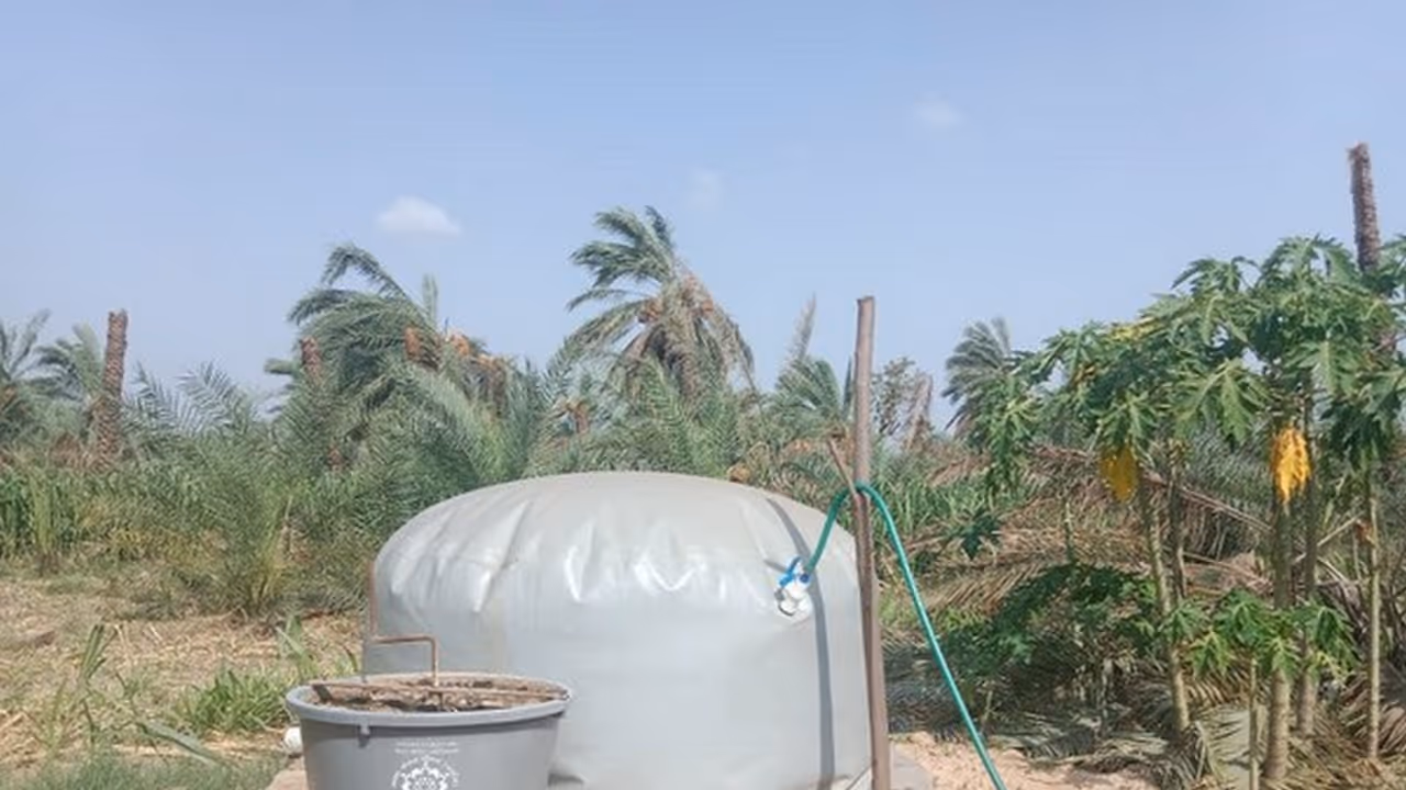 Representative Image (File Photo/ANI) Representative Image (File Photo/ANI)