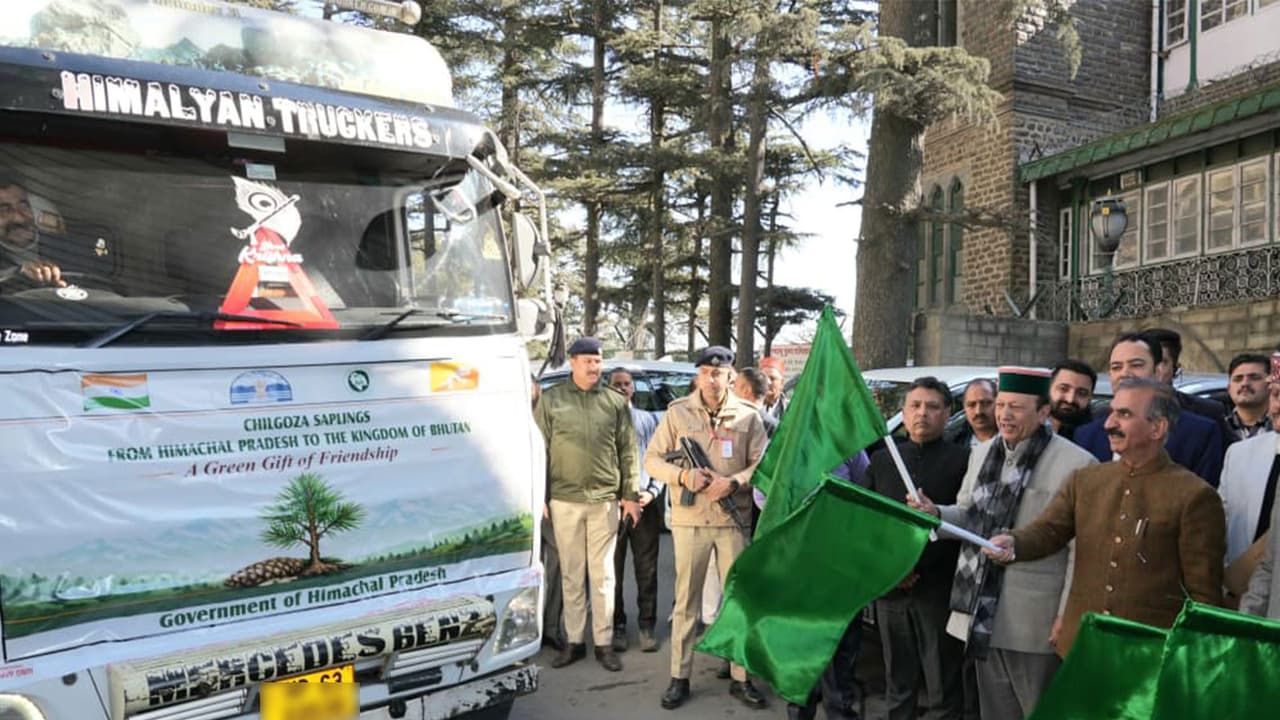 Himachal Pradesh Chief Minister Thakur Sukhvinder Singh Sukhu flagging off chilgoza sapling delivery to Bhutan (Photo/Himachal CMO) Himachal Pradesh Chief Minister Thakur Sukhvinder Singh Sukhu flagging off chilgoza sapling delivery to Bhutan (Photo/Himachal CMO)