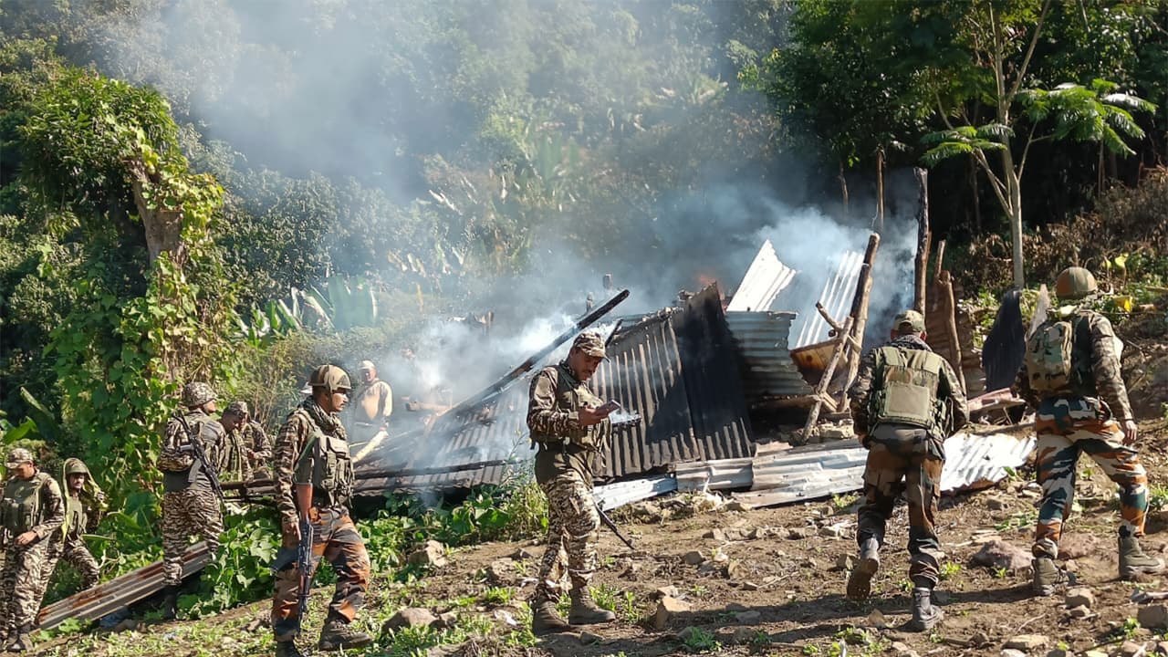 CRPF, Manipur police destroy 25 acres of illicit poppy in Kangpokpi, Manipur CRPF, Manipur police destroy 25 acres of illicit poppy in Kangpokpi, Manipur