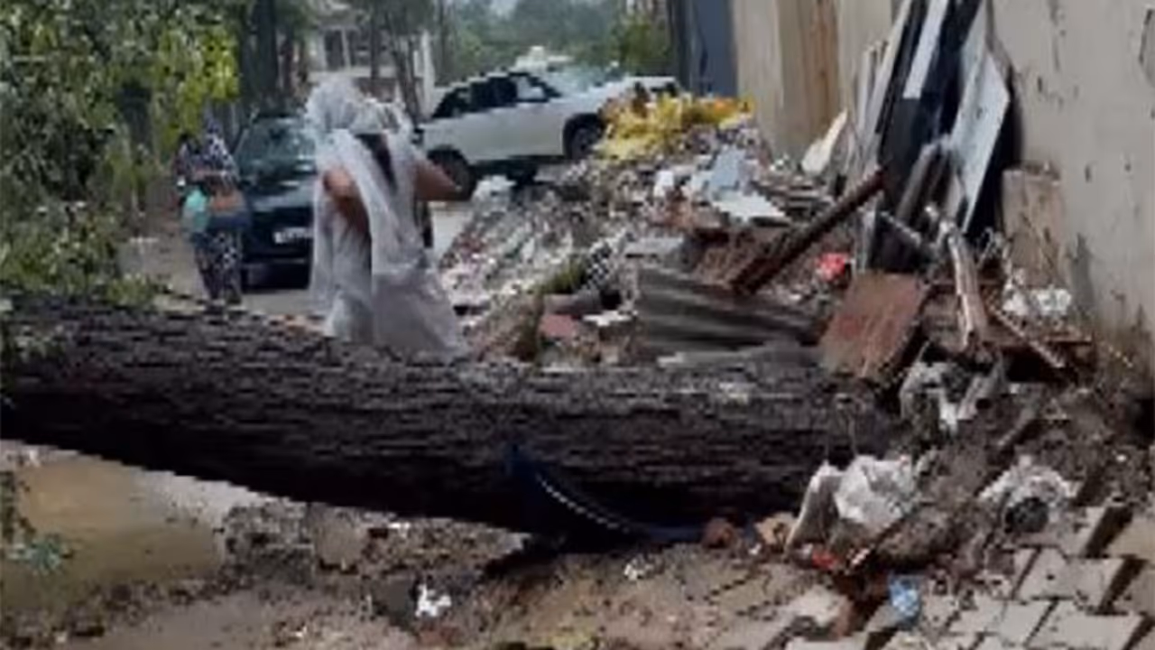 An uprooted tree lying in a residential area of Sector 46 in Gurugram following continuous rainfall (Photo/ANI) An uprooted tree lying in a residential area of Sector 46 in Gurugram following continuous rainfall (Photo/ANI)