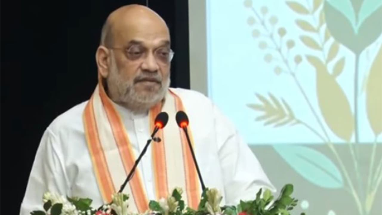 Union Home Minister Amit Shah (Photo/ANI) Union Home Minister Amit Shah (Photo/ANI)