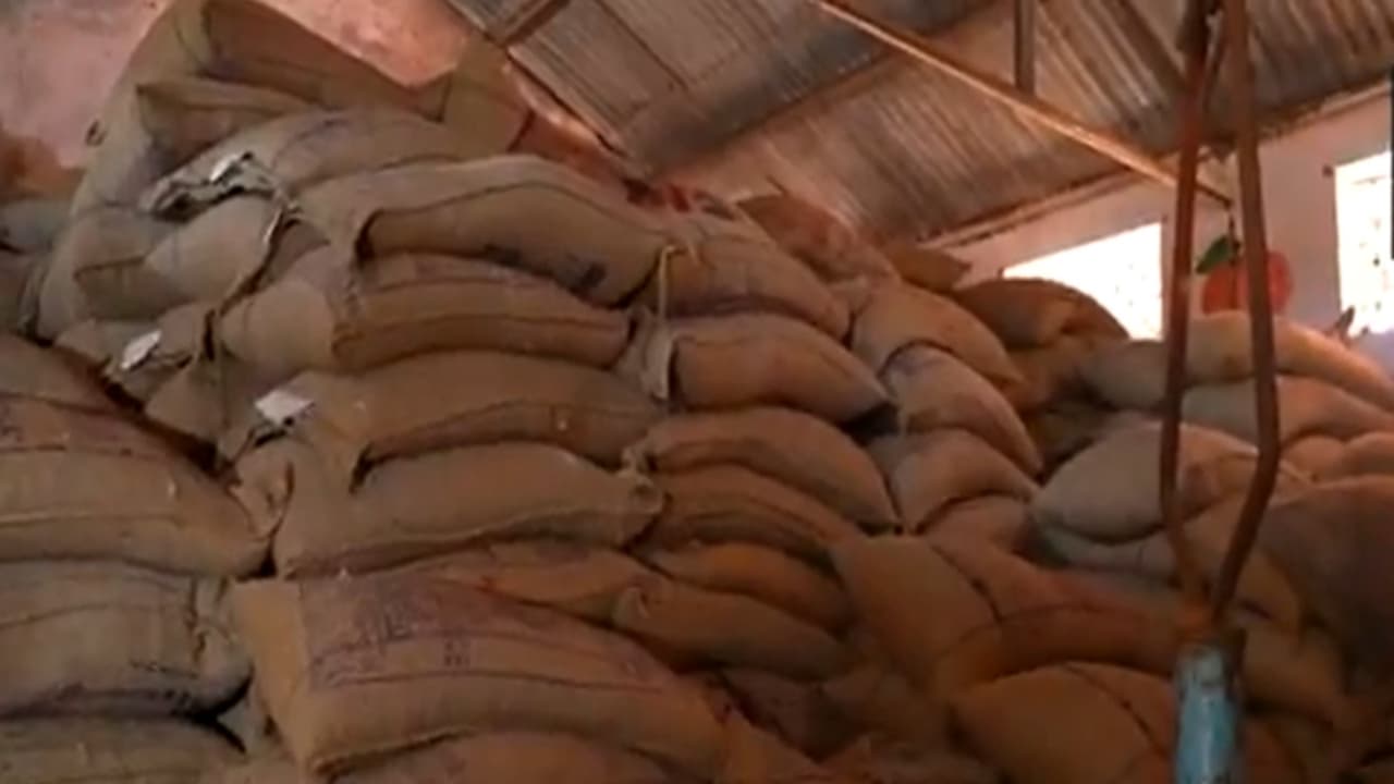 Stockpiles of food grains stored in advance (Photo/ANI) Stockpiles of food grains stored in advance (Photo/ANI)