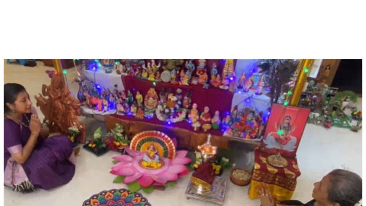 Golu dolls (Image source: ANI) Golu dolls (Image source: ANI)