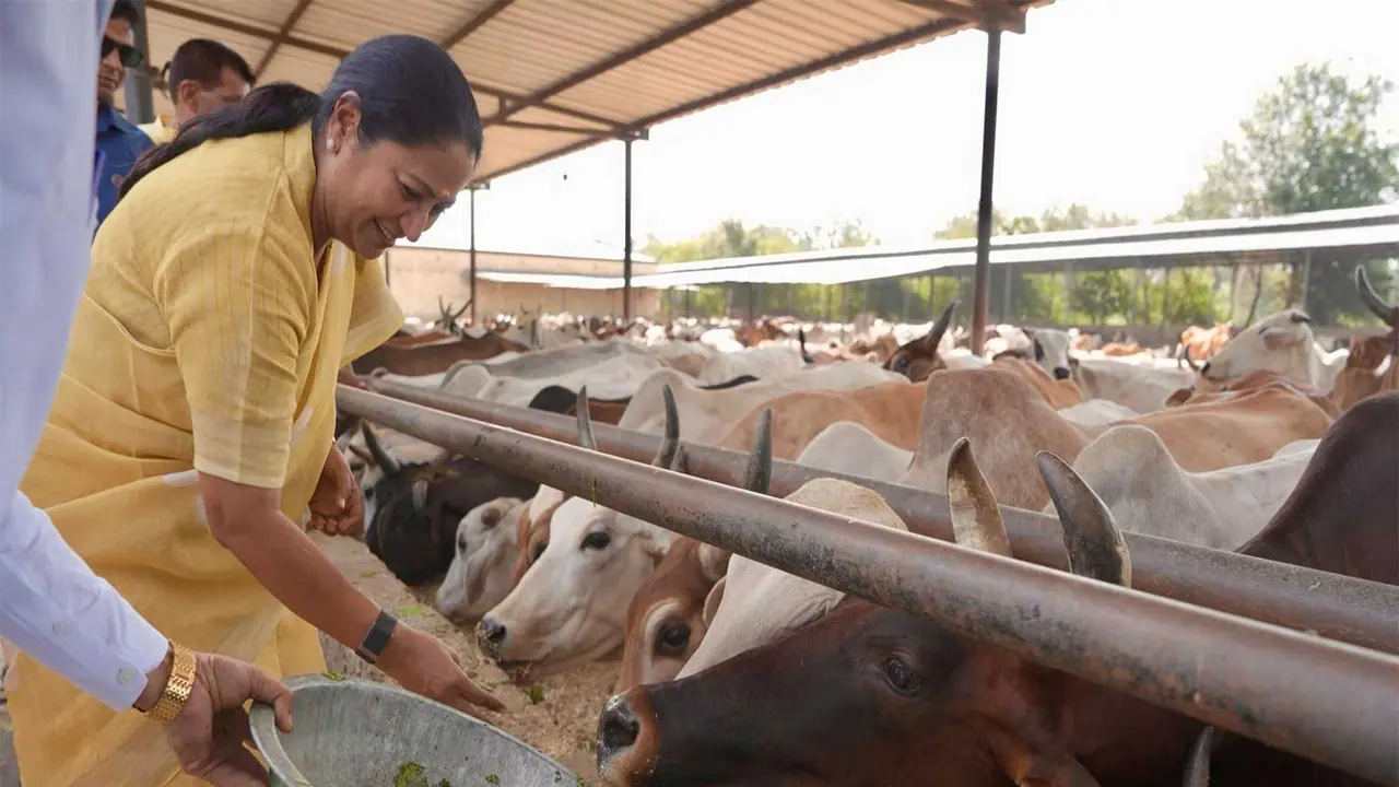 Delhi Chief Minister Rekha Gupta (Photo/@gupta_rekha) Delhi Chief Minister Rekha Gupta (Photo/@gupta_rekha)