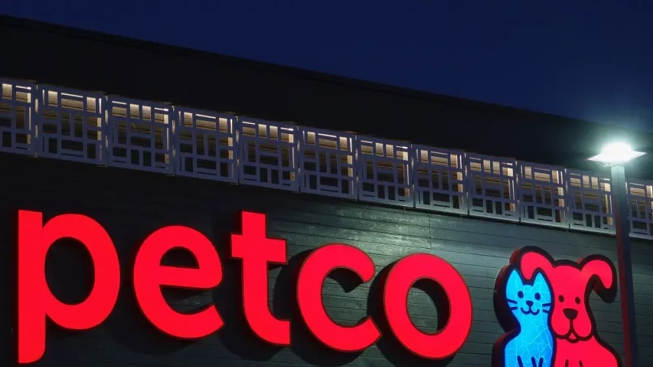 Petco Stock Surges After Market On Q4 Revenue Beat: Retail’s Optimistic
