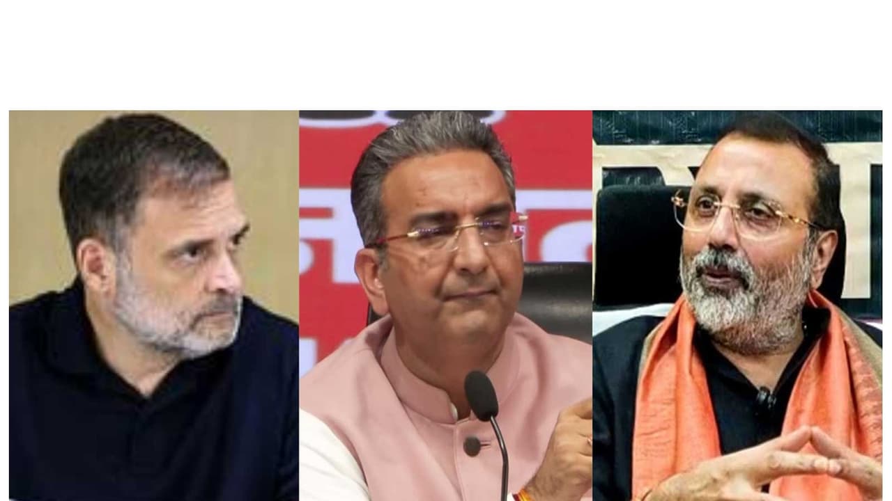 Rahul Gandhi, Gaurav Bhatia, and Nishikant Dubey (Photo/ANI) Rahul Gandhi, Gaurav Bhatia, and Nishikant Dubey (Photo/ANI)