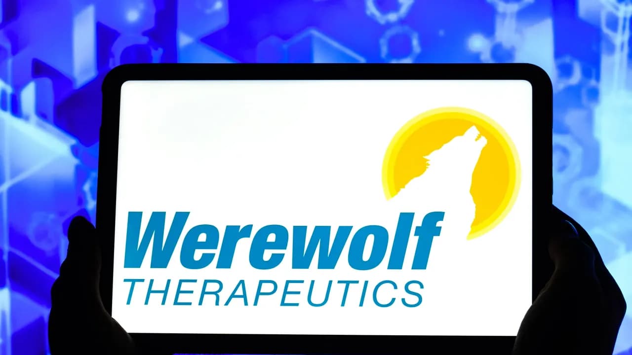 https://stocktwits.com/news articles/markets/equity/werewolf therapeutics stock rises after hours on workforce reduction/cZRdEoPR4tl https://stocktwits.com/news articles/markets/equity/werewolf therapeutics stock rises after hours on workforce reduction/cZRdEoPR4tl