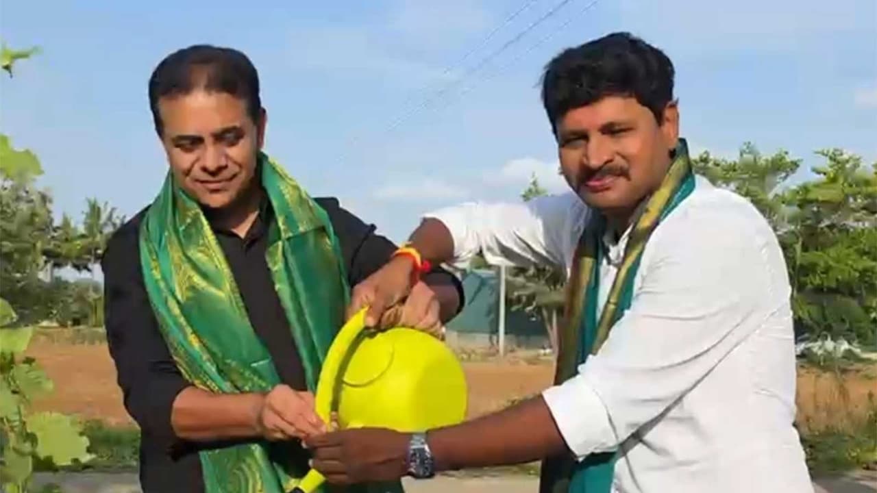 Green India Challenge launches 9th edition, Godavari Basin restoration mission to mark KTR's 50th birthday (Photo/ANI) Green India Challenge launches 9th edition, Godavari Basin restoration mission to mark KTR's 50th birthday (Photo/ANI)