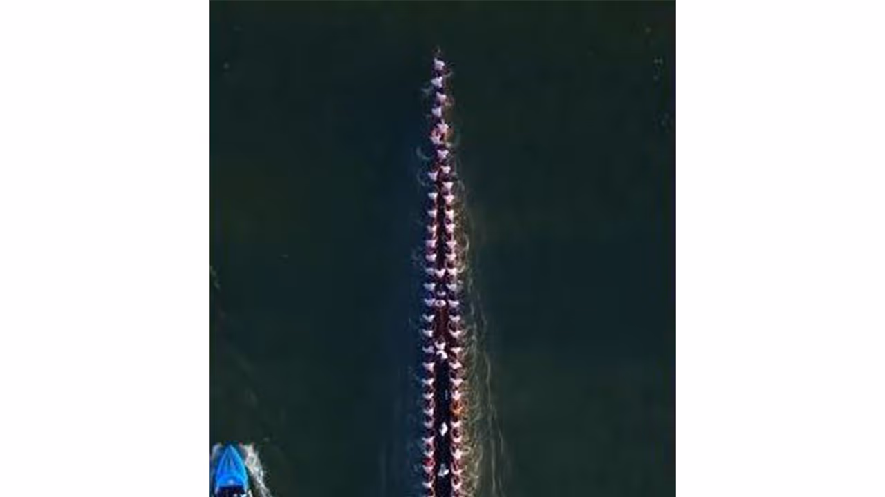 Boat race in Keralam (Photo credit Instagram/@Keralatourism) Boat race in Keralam (Photo credit Instagram/@Keralatourism)