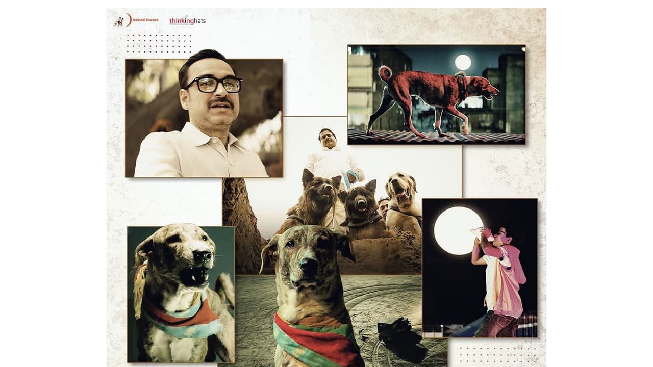 Oh My Dog (Photo/Instagram@babulalbiscope) Oh My Dog (Photo/Instagram@babulalbiscope)