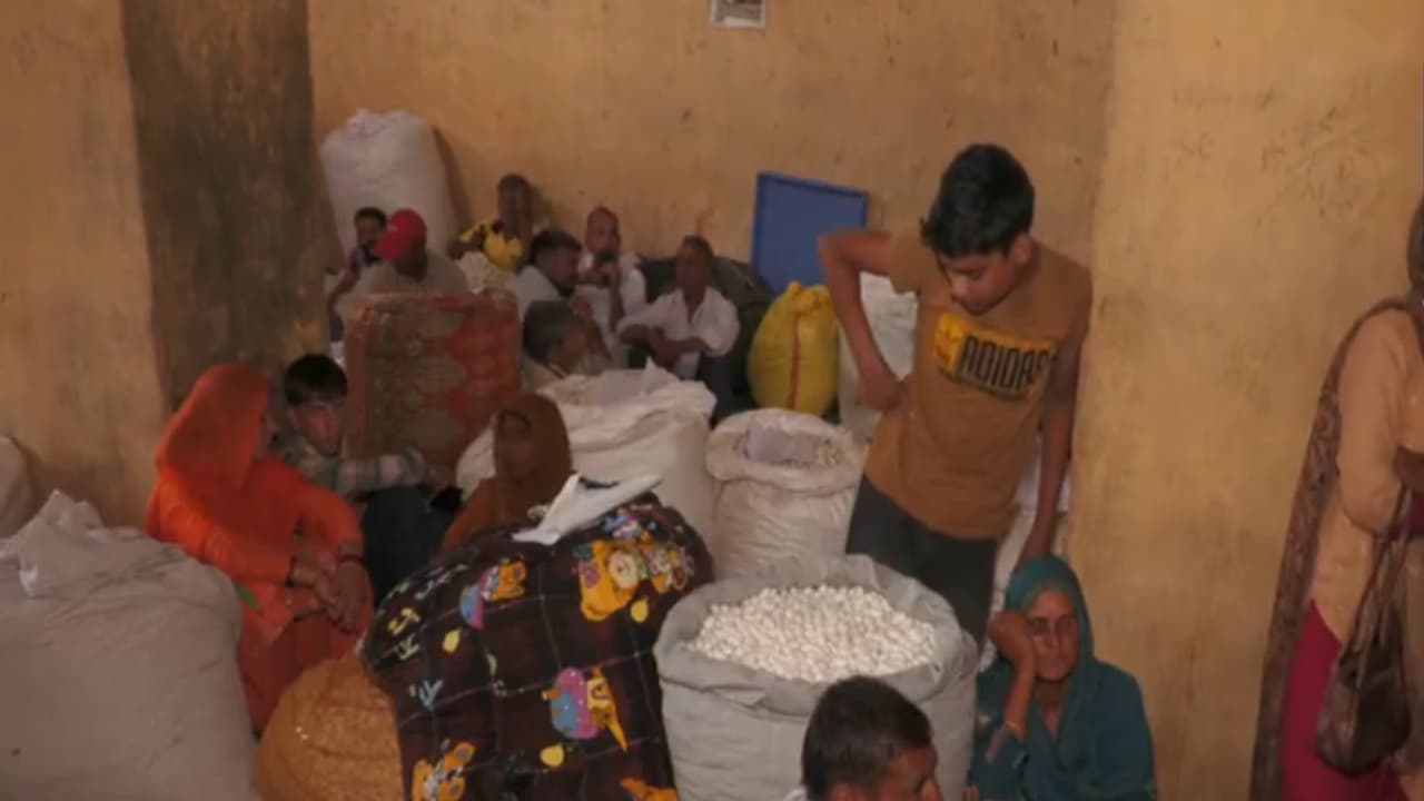 Visual of Cocoon Auction Market (Photo/ANI) Visual of Cocoon Auction Market (Photo/ANI)