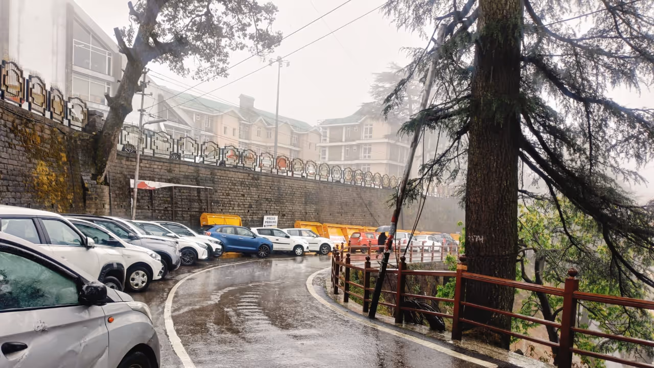 Representative image (Photo: ANI) Representative image (Photo: ANI)