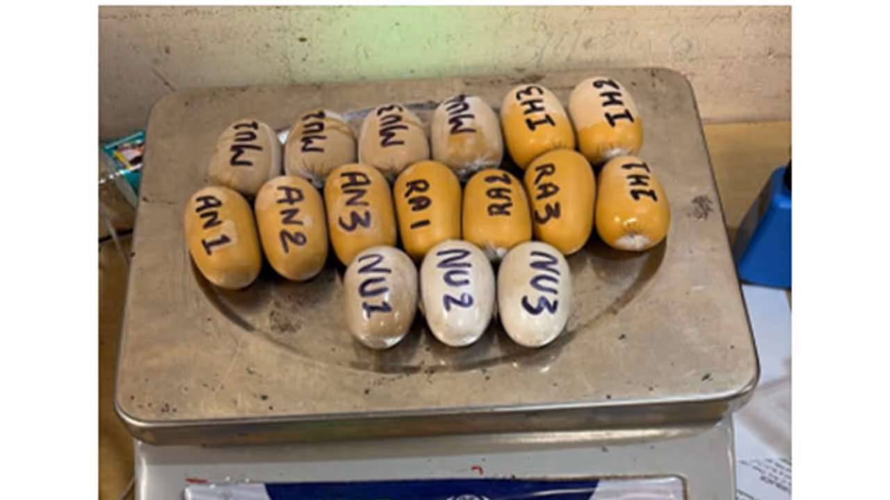 6.85 kg gold in wax form seized at Mumbai airport (Photo/Ministry of finance) 6.85 kg gold in wax form seized at Mumbai airport (Photo/Ministry of finance)