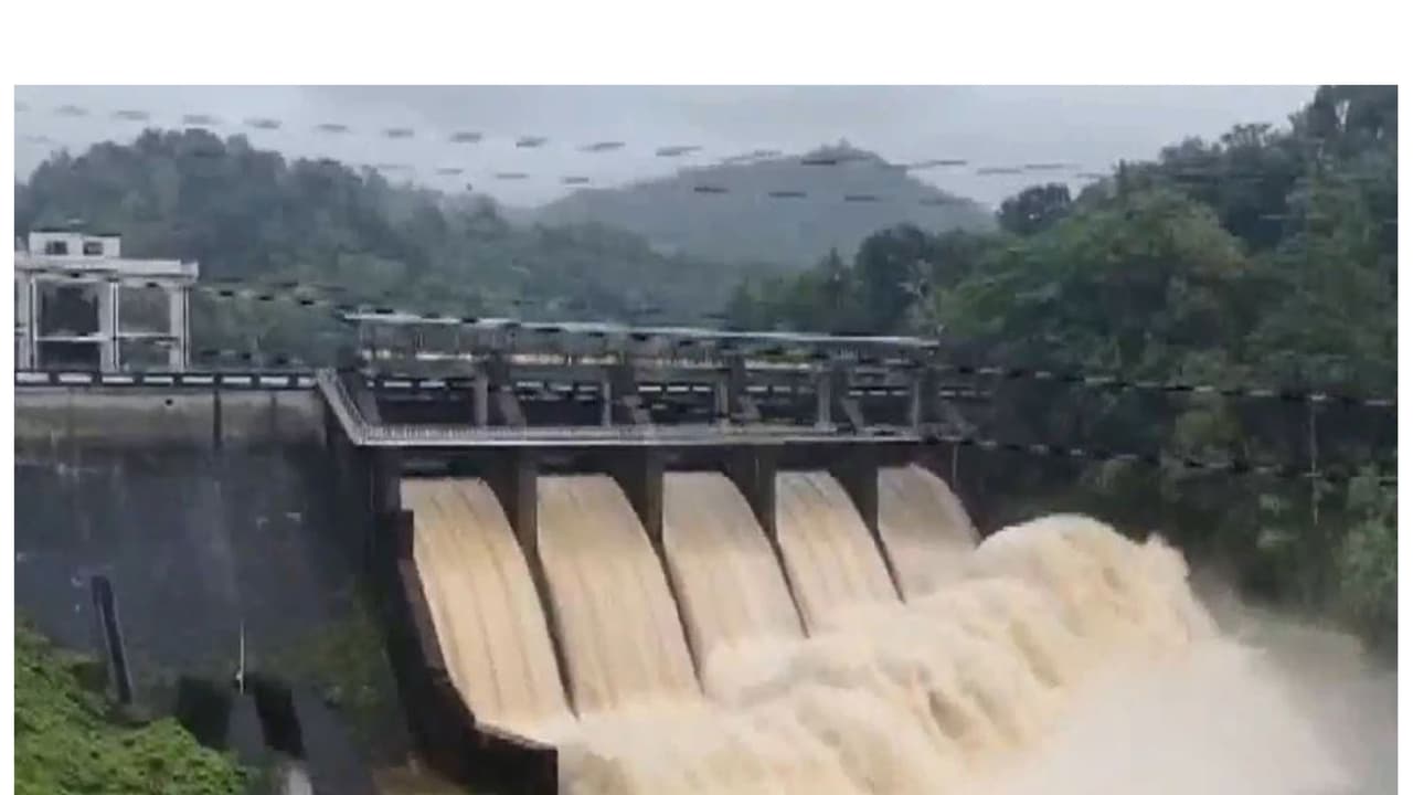 KSEB opens Kallarkutty Dam shutters after reservoir reaches maximum capacity in Idukki (Photo/ANI) KSEB opens Kallarkutty Dam shutters after reservoir reaches maximum capacity in Idukki (Photo/ANI)