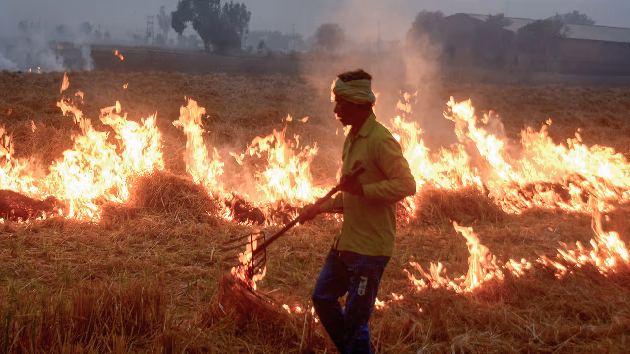 Stubble burning in Patiala on November 3. (Photo/ANI)
