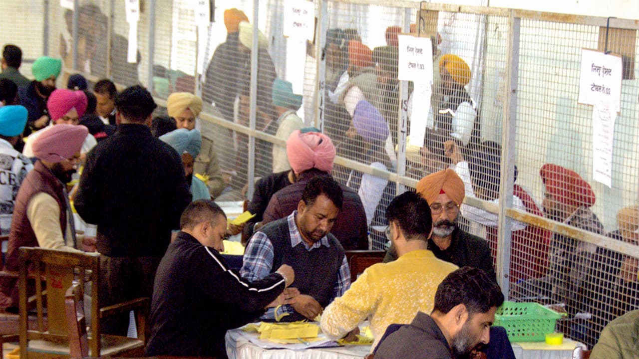 Counting of votes for Zila Parishad and Panchayat Samiti elections in Patiala (File Photo/ANI) Counting of votes for Zila Parishad and Panchayat Samiti elections in Patiala (File Photo/ANI)