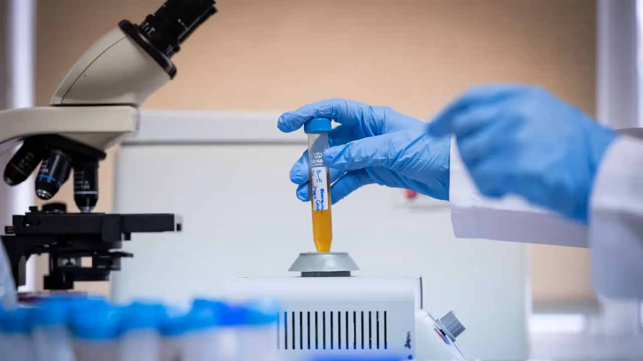 https://stocktwits.com/news articles/markets/equity/rocket pharma gets fda alignment on this key trial a look at some key highlights/cZtnQJVRBcO https://stocktwits.com/news articles/markets/equity/rocket pharma gets fda alignment on this key trial a look at some key highlights/cZtnQJVRBcO