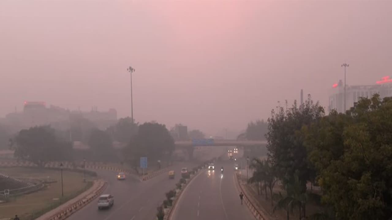 Toxic smog engulfs areas around AIIMS (Photo/ANI) Toxic smog engulfs areas around AIIMS (Photo/ANI)