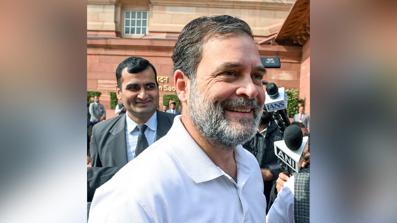 Congress Leader and LoP Rahul Gandhi (Photo/ANI) Congress Leader and LoP Rahul Gandhi (Photo/ANI)