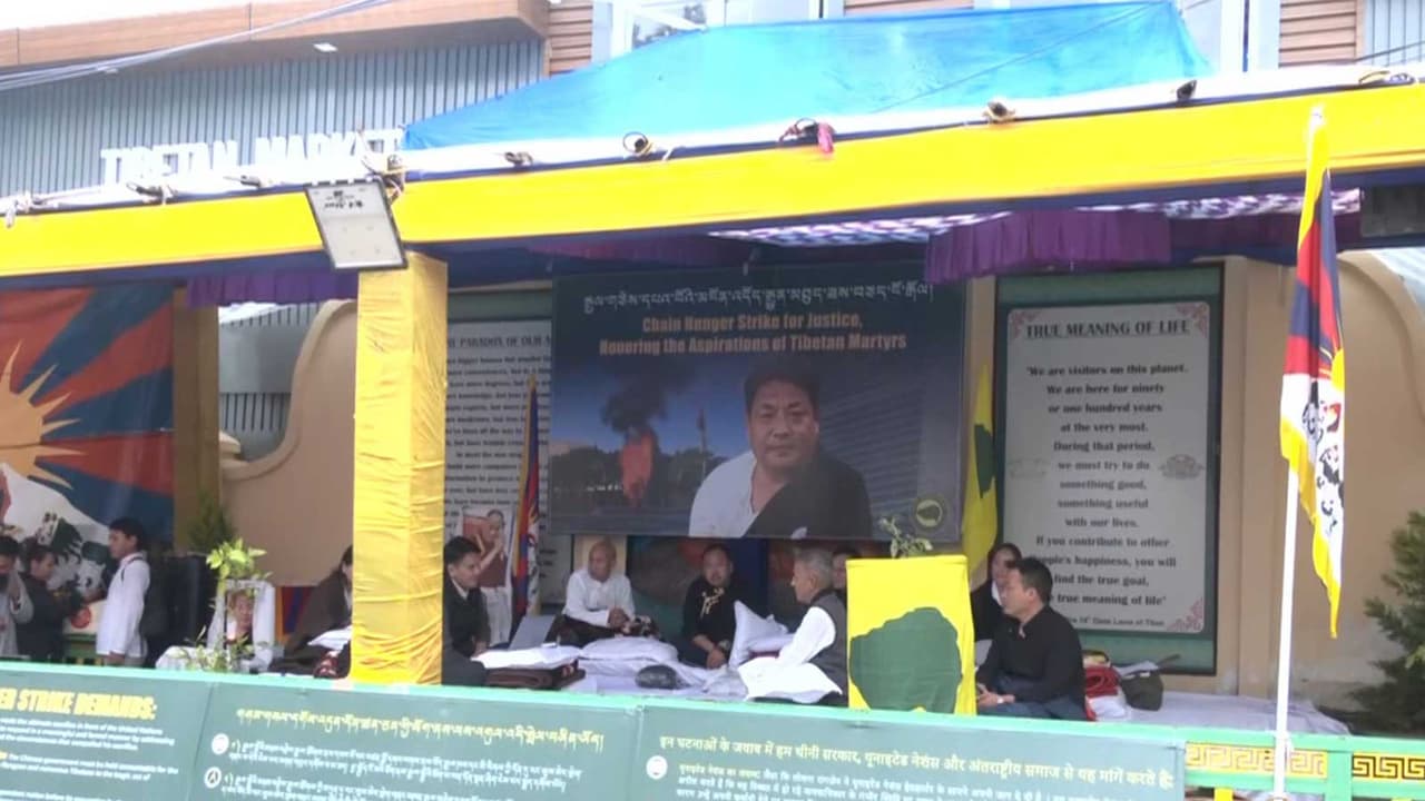Tibetan Youth Congress begins chain hunger strike in Dharamshala (Photo/ANI) Tibetan Youth Congress begins chain hunger strike in Dharamshala (Photo/ANI)