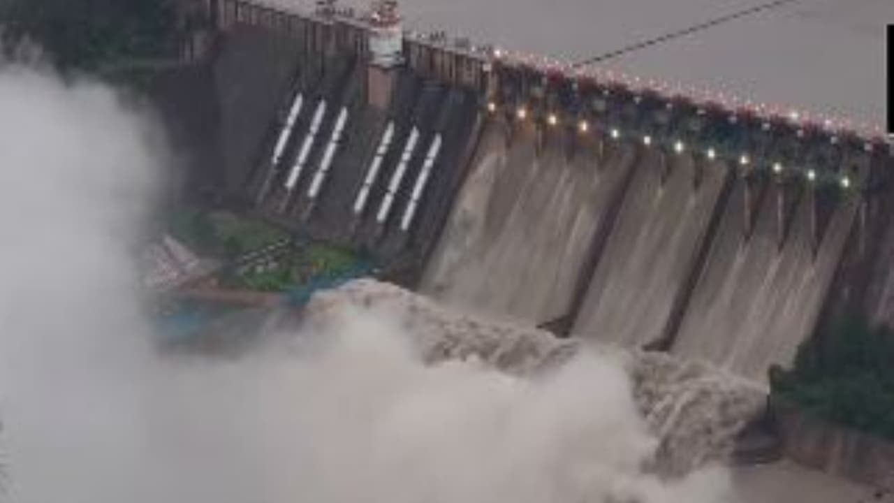 Salal dam reopened (Photo./ANI) Salal dam reopened (Photo./ANI)