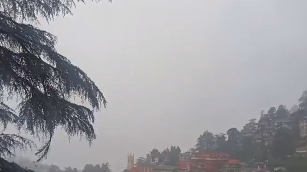 Visual from Shimla (Photo/ANI) Visual from Shimla (Photo/ANI)