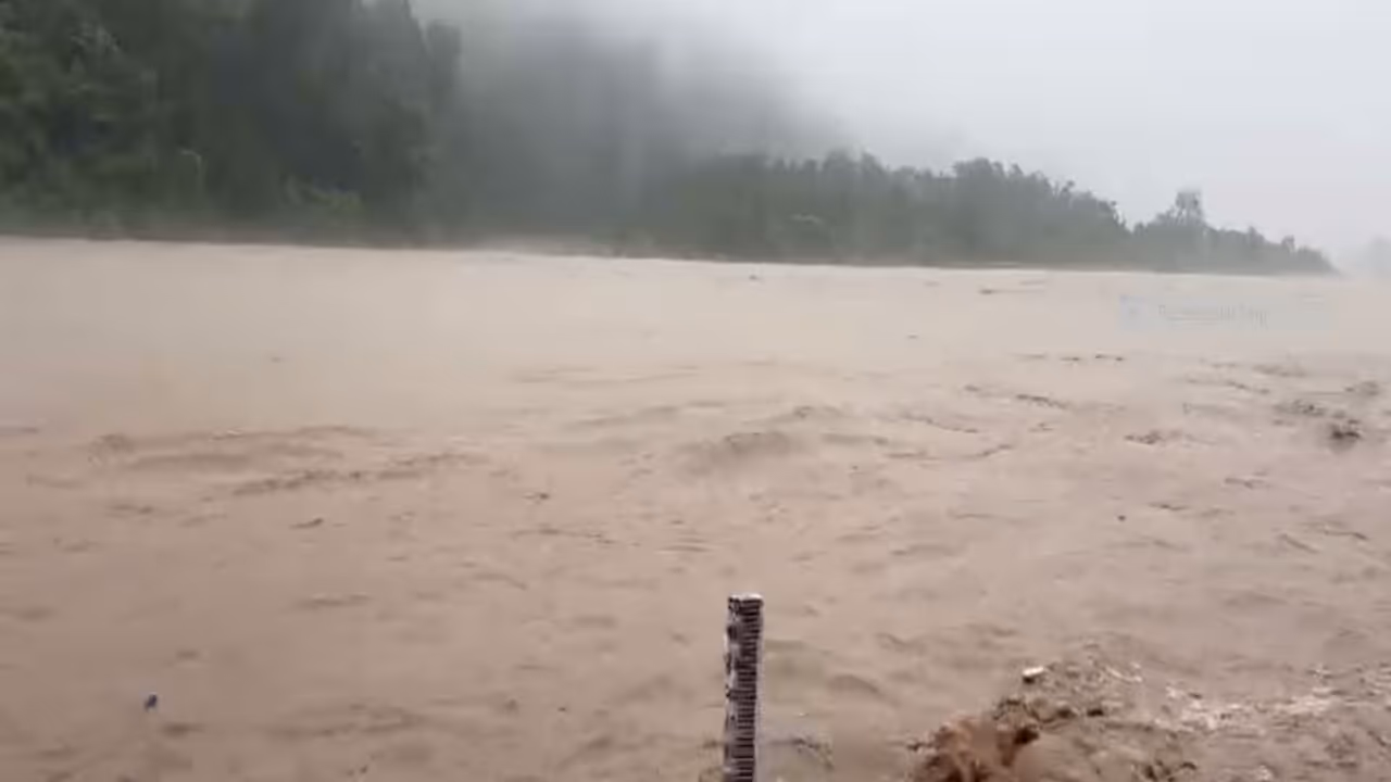 Heavy rain swells rivers in Uttarakhand (Photo/ANI) Heavy rain swells rivers in Uttarakhand (Photo/ANI)