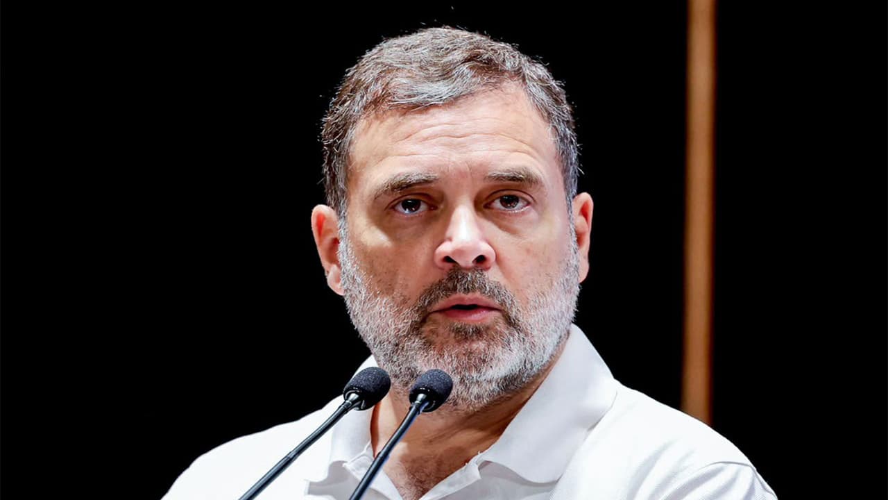 LoP in Lok Sabha Rahul Gandhi (File photo/ANI) LoP in Lok Sabha Rahul Gandhi (File photo/ANI)