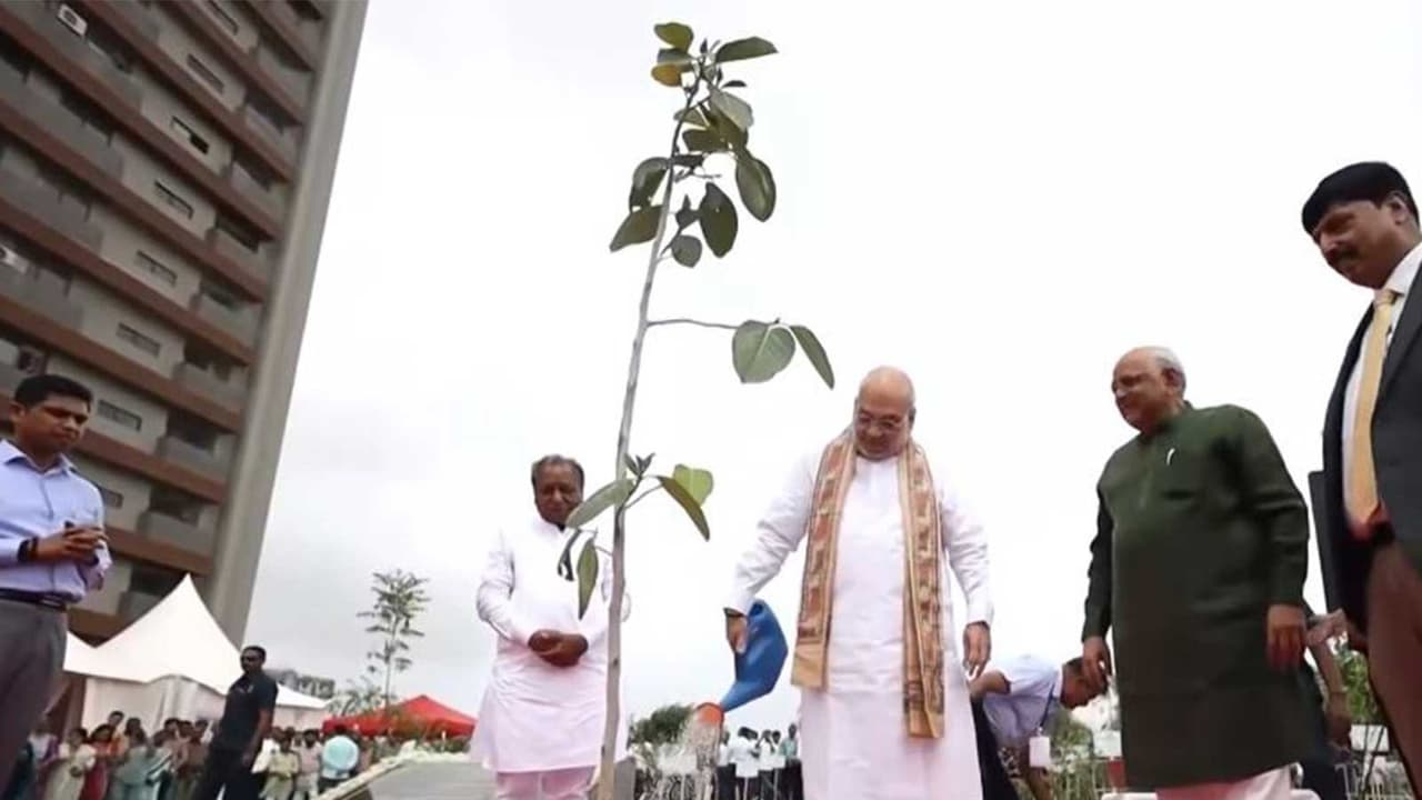 Union Home Minister Amit Shah launched 'Mission 5 Million Trees' campaign (Photo/ANI) Union Home Minister Amit Shah launched 'Mission 5 Million Trees' campaign (Photo/ANI)