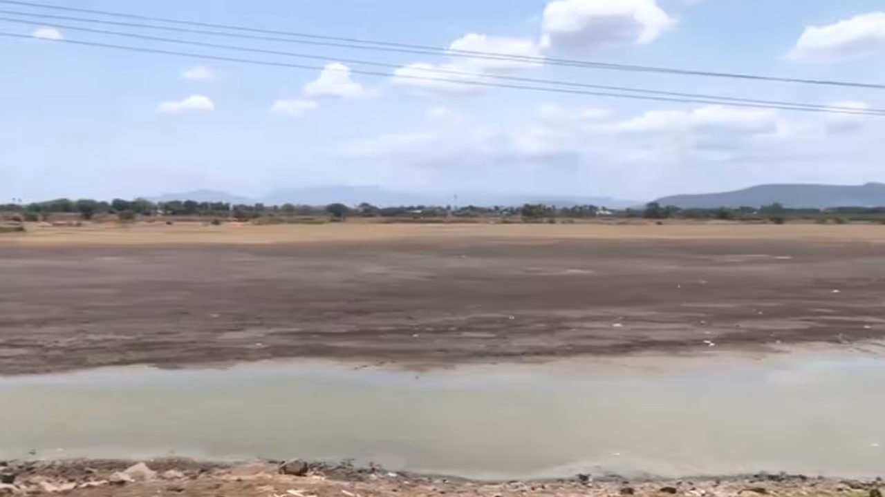 The dried up Vellaripatti irrigation tank in Madurai, Tamil Nadu, amid severe water shortage. (Photo: ANI) The dried up Vellaripatti irrigation tank in Madurai, Tamil Nadu, amid severe water shortage. (Photo: ANI)