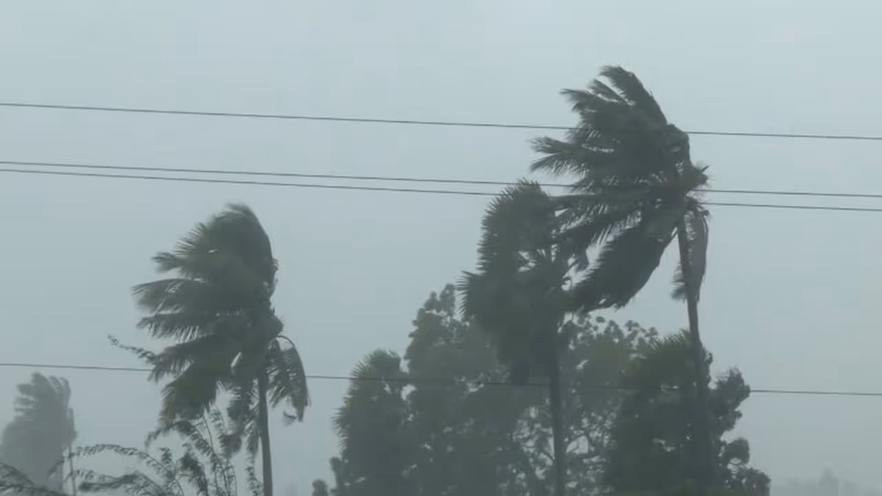 Trees uprooted following Cyclone Arnab (File Photo/ANI) Trees uprooted following Cyclone Arnab (File Photo/ANI)