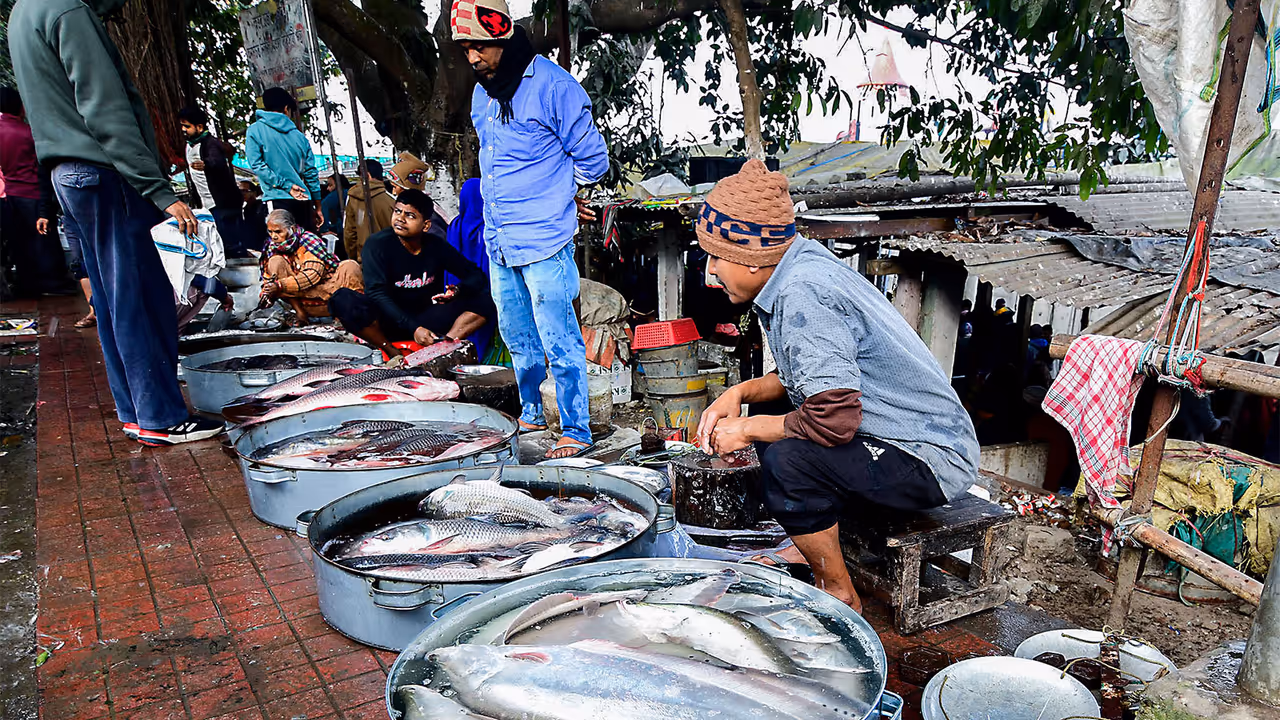 Vendors sell fishes at the fish market (File Photo/ANI) Vendors sell fishes at the fish market (File Photo/ANI)