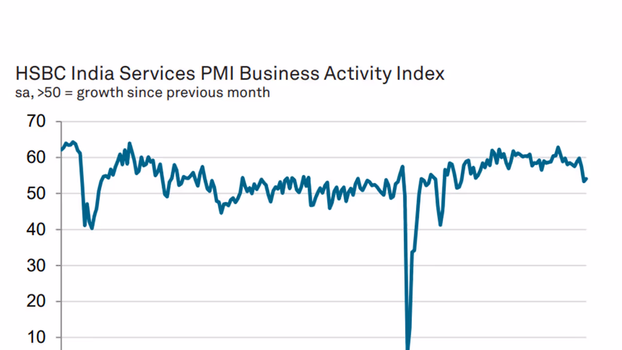 HSBC India Services PMI Business Activity Index (Photo/HSBC Global PMI) HSBC India Services PMI Business Activity Index (Photo/HSBC Global PMI)