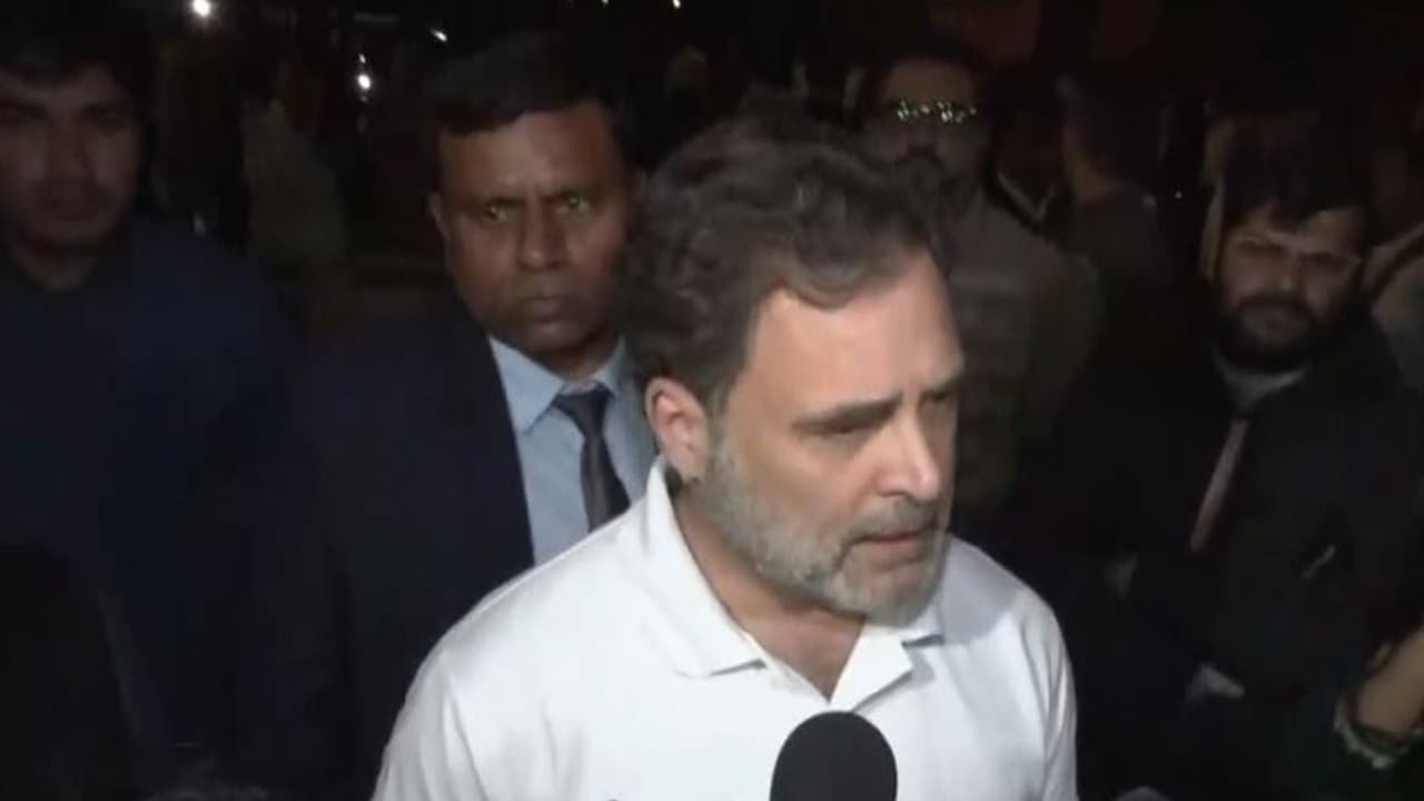 Lok Sabha LoP Rahul Gandhi (Photo/ANI) Lok Sabha LoP Rahul Gandhi (Photo/ANI)