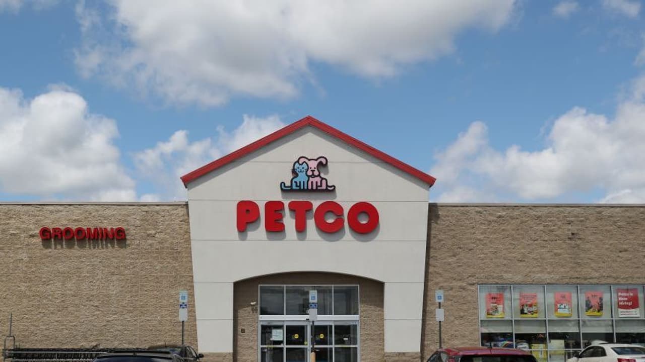 Petco Stock Surges On Leadership Hires: Retail Stays Bullish