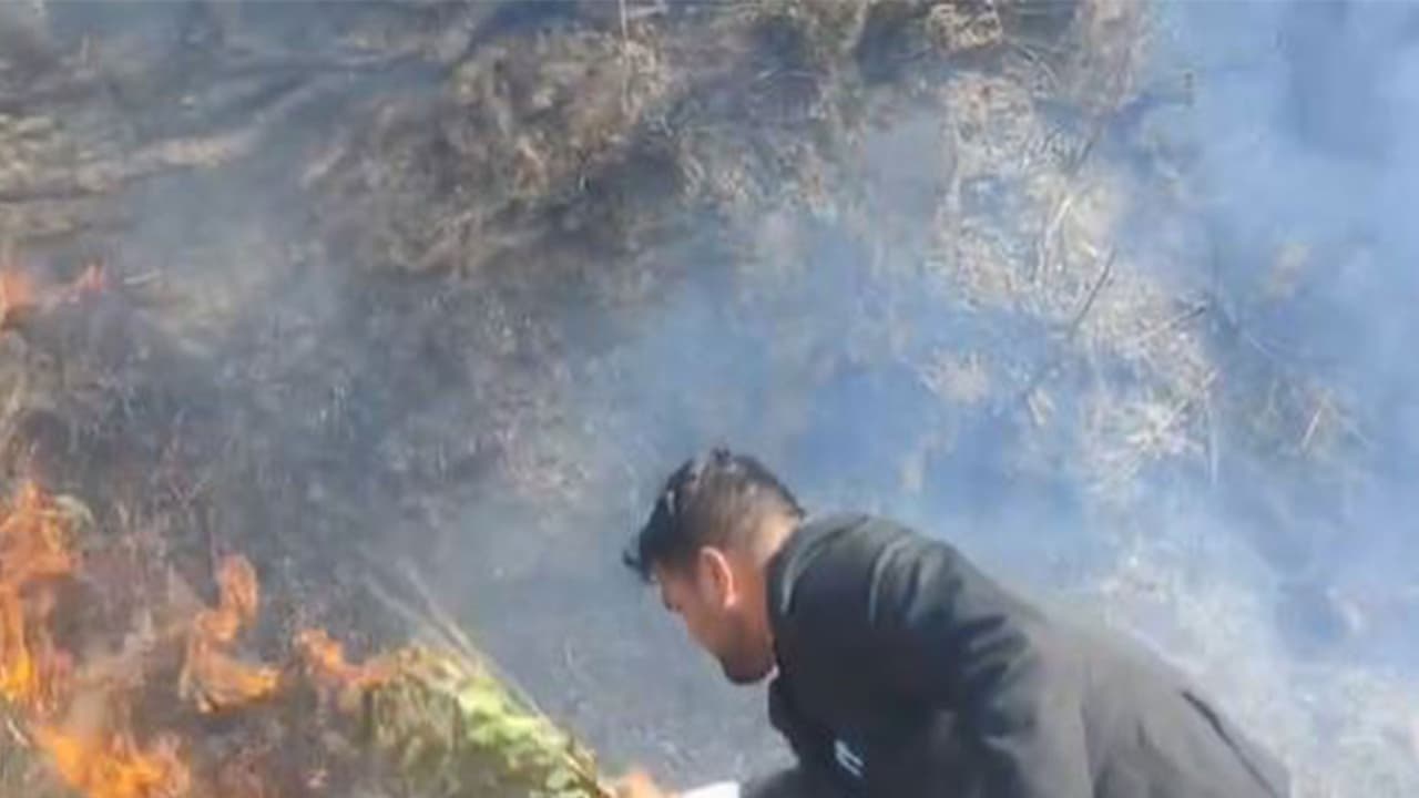 Local residents attempt to douse the forest fire as it spreads across the area (Photo/ANI) Local residents attempt to douse the forest fire as it spreads across the area (Photo/ANI)