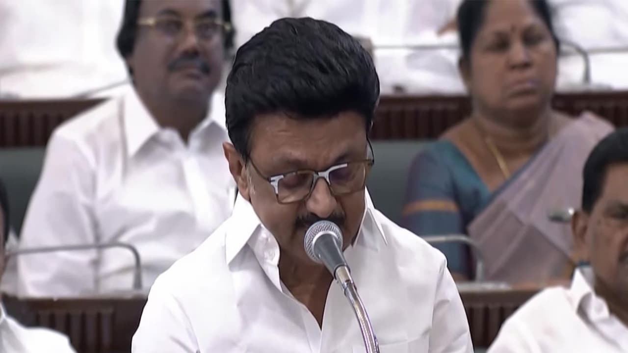 Tamil Nadu CM MK Stalin. (Photo/ANI) Tamil Nadu CM MK Stalin. (Photo/ANI)