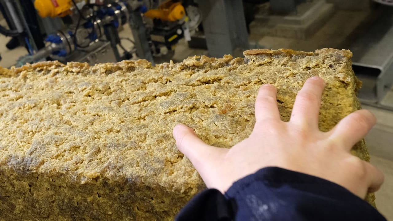 Trinseo Stock Swings As Retail Chatter Spikes On Q4 Results, Restructuring Efforts