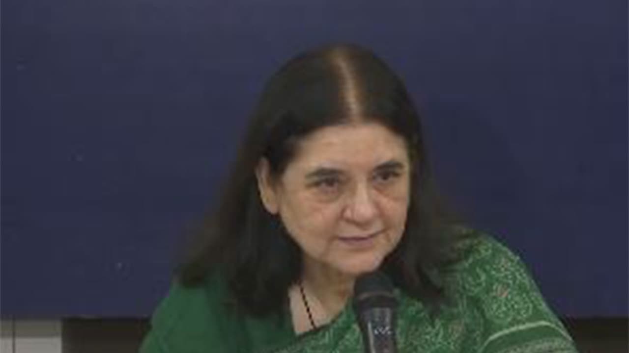 BJP leader and animal rights activist Maneka Gandhi (Photo/ANI) BJP leader and animal rights activist Maneka Gandhi (Photo/ANI)