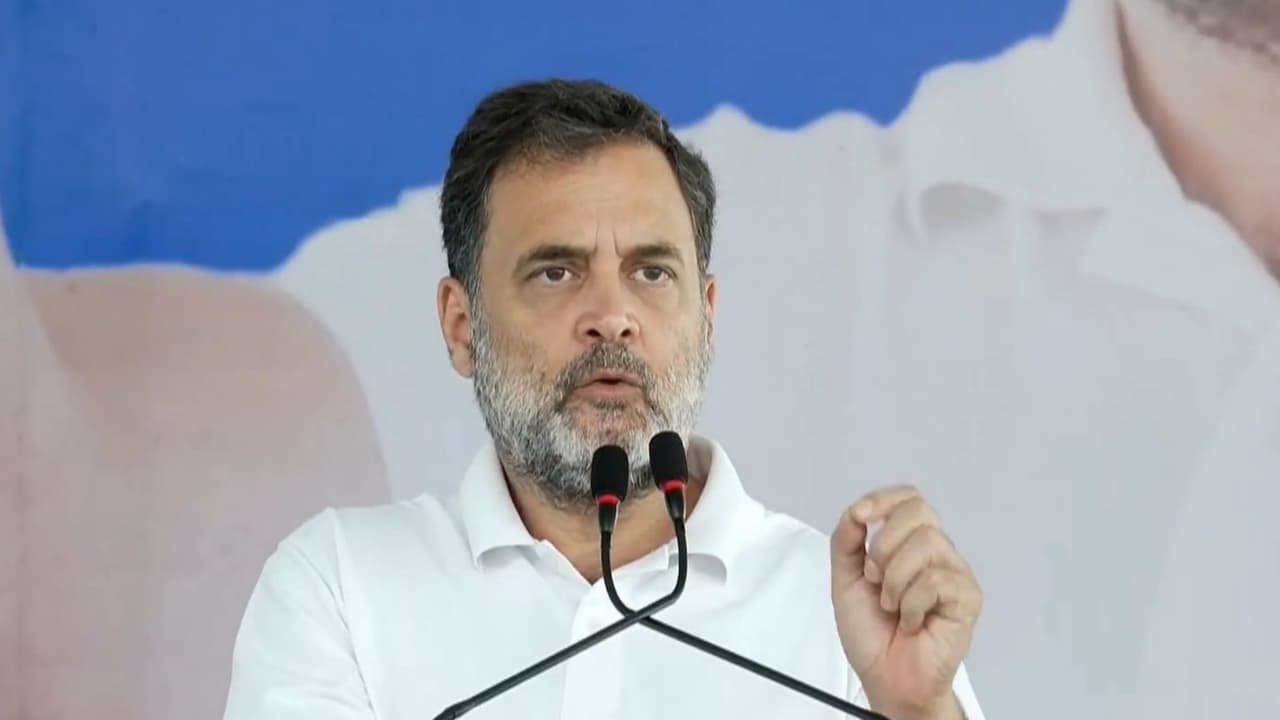 Congress leader Rahul Gandhi (Photo/ANI) Congress leader Rahul Gandhi (Photo/ANI)