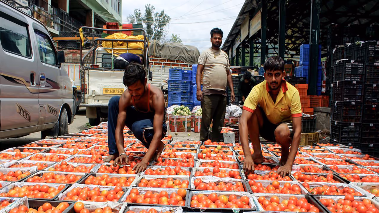 Representative Image (File Photo/ANI) Representative Image (File Photo/ANI)