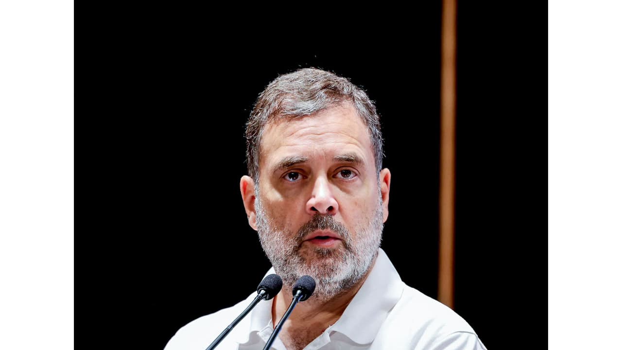 LoP in Lok Sabha Rahul Gandhi (File photo/ANI) LoP in Lok Sabha Rahul Gandhi (File photo/ANI)