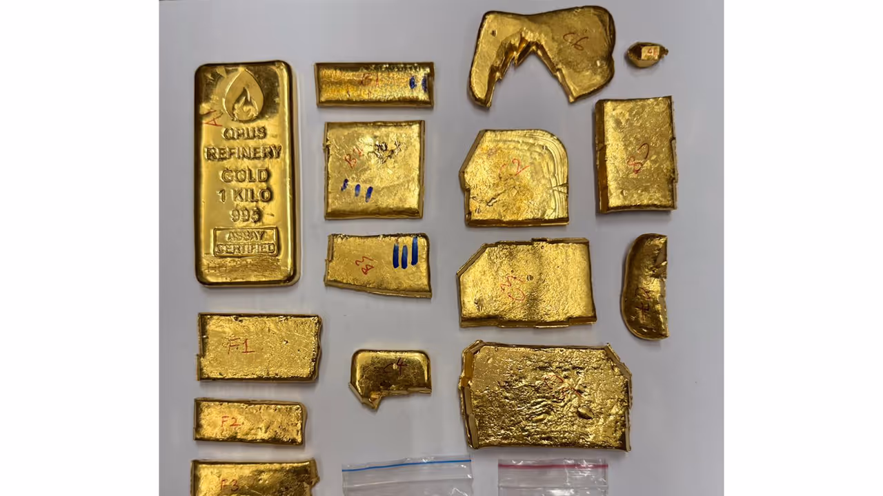 Seized gold (Photo/DRI)