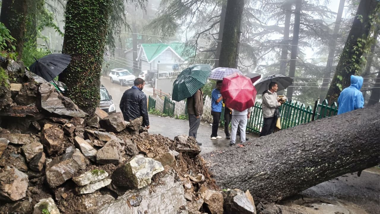 Earlier visual of uprooted tree blocking the Banmore road following a heavy rainfall in Shimla (Photo/ANI) Earlier visual of uprooted tree blocking the Banmore road following a heavy rainfall in Shimla (Photo/ANI)