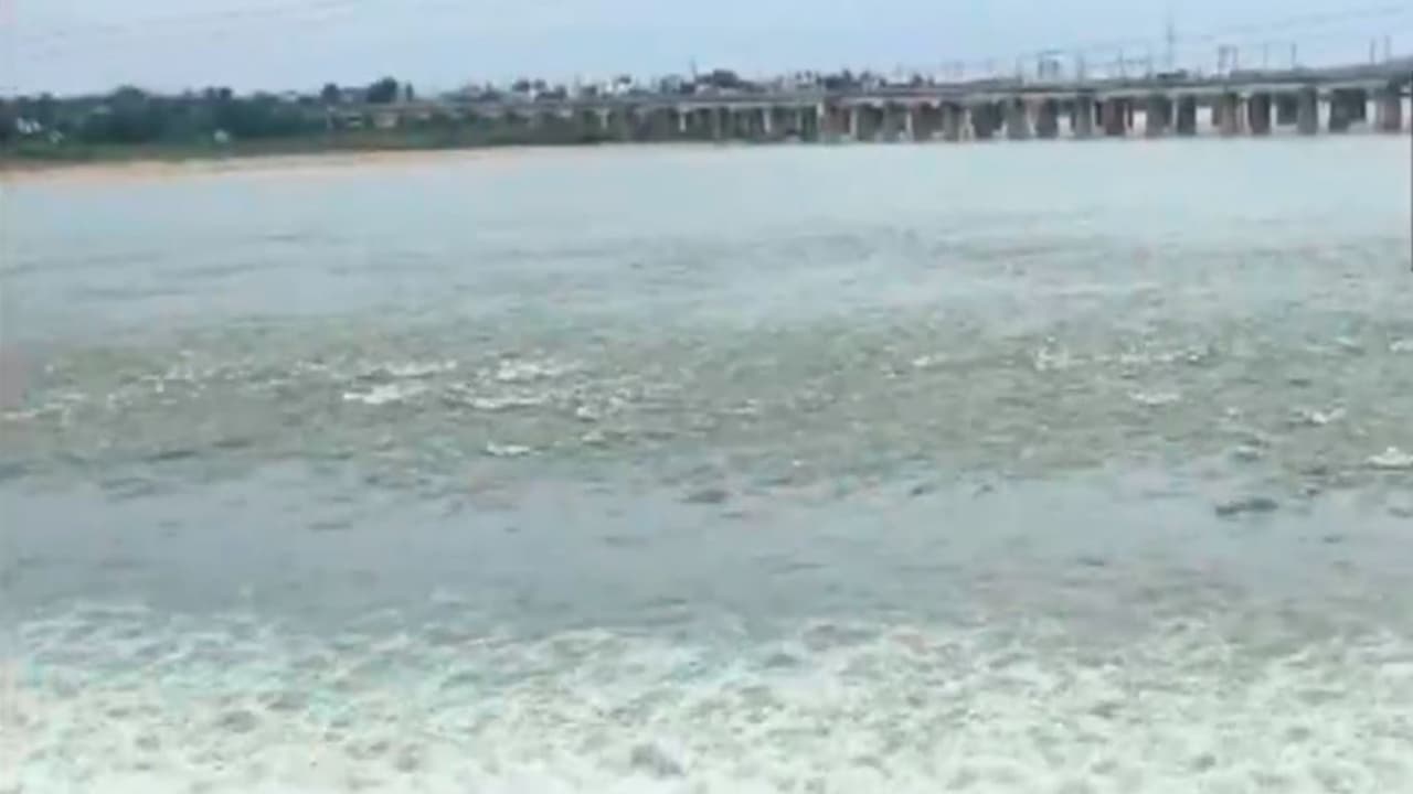 Visuals from Somasila reservoir in Nellore. (Photo/ANI)