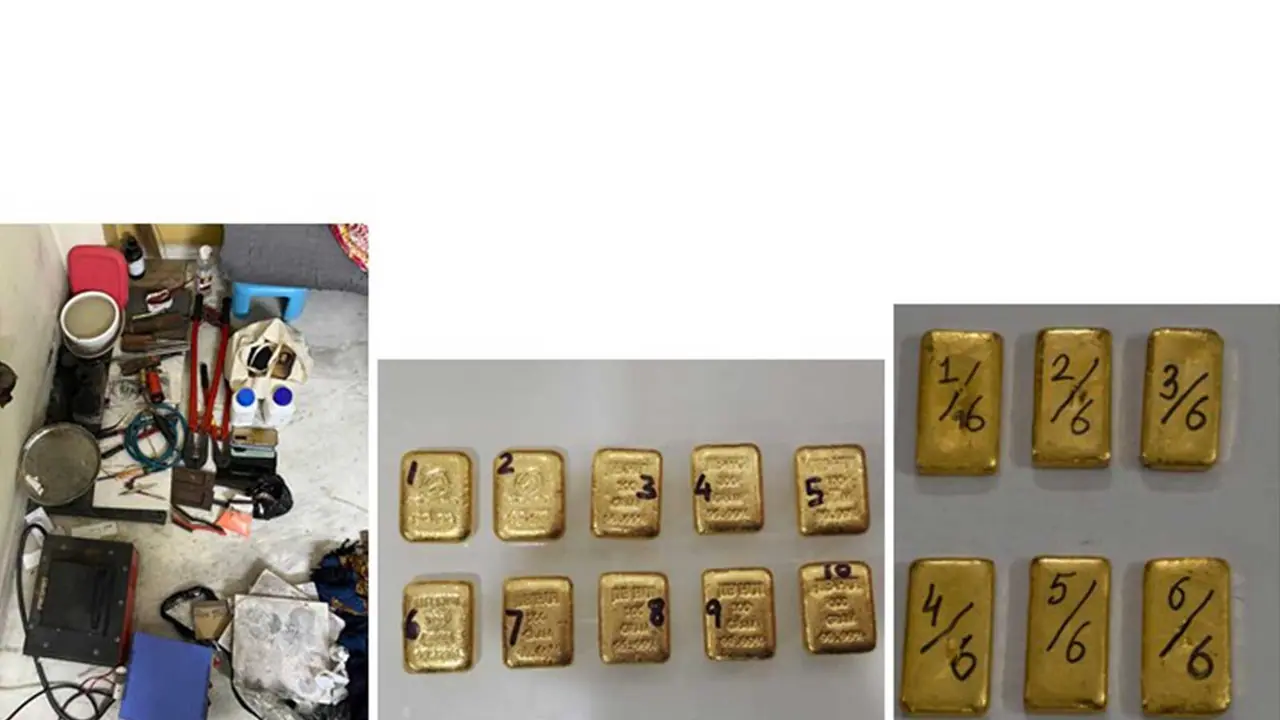 DRI cracks down illicit gold facility in pan India operations (Photo/PIB) DRI cracks down illicit gold facility in pan India operations (Photo/PIB)