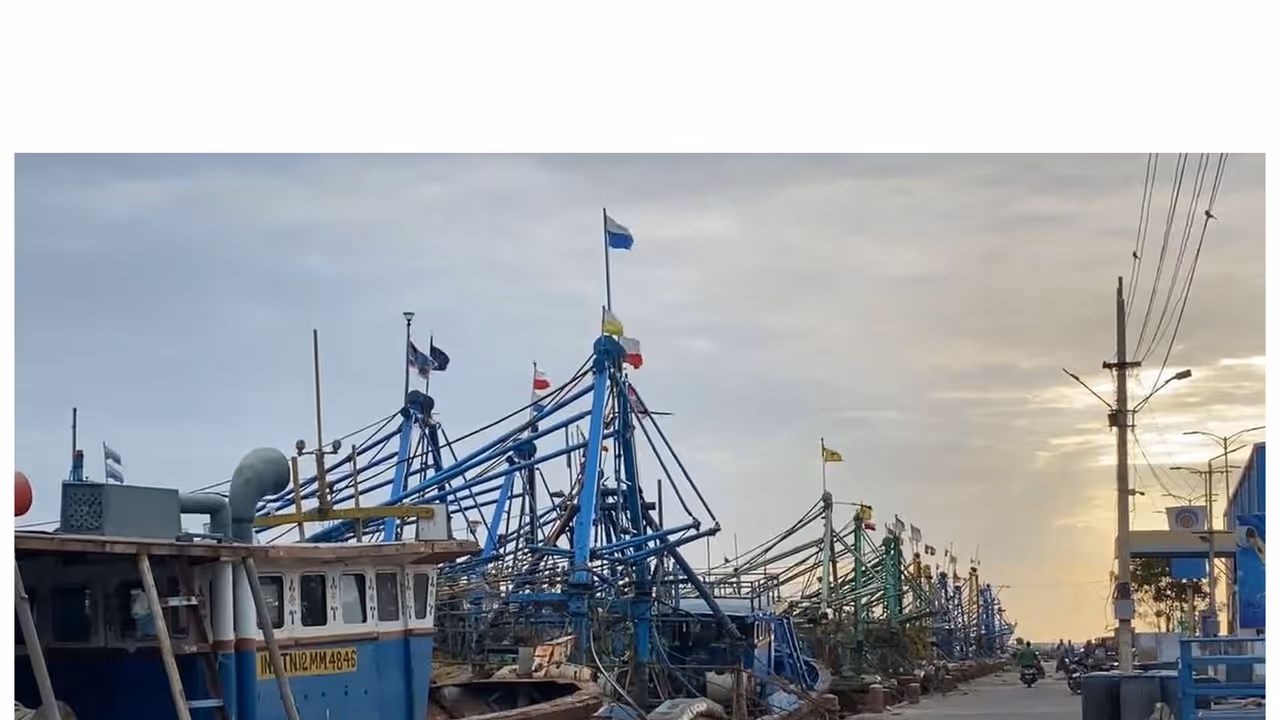 Fishermen halt fishing for 'Our Lady Of Snows Basilica' festival (Photo/ANI) Fishermen halt fishing for 'Our Lady Of Snows Basilica' festival (Photo/ANI)