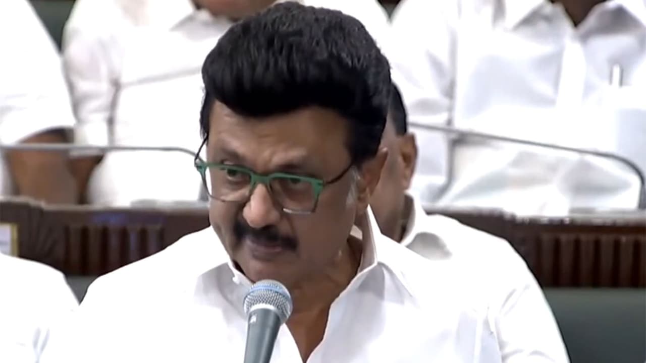 Tamil Nadu CM MK Stalin (Photo/ ANI) Tamil Nadu CM MK Stalin (Photo/ ANI)