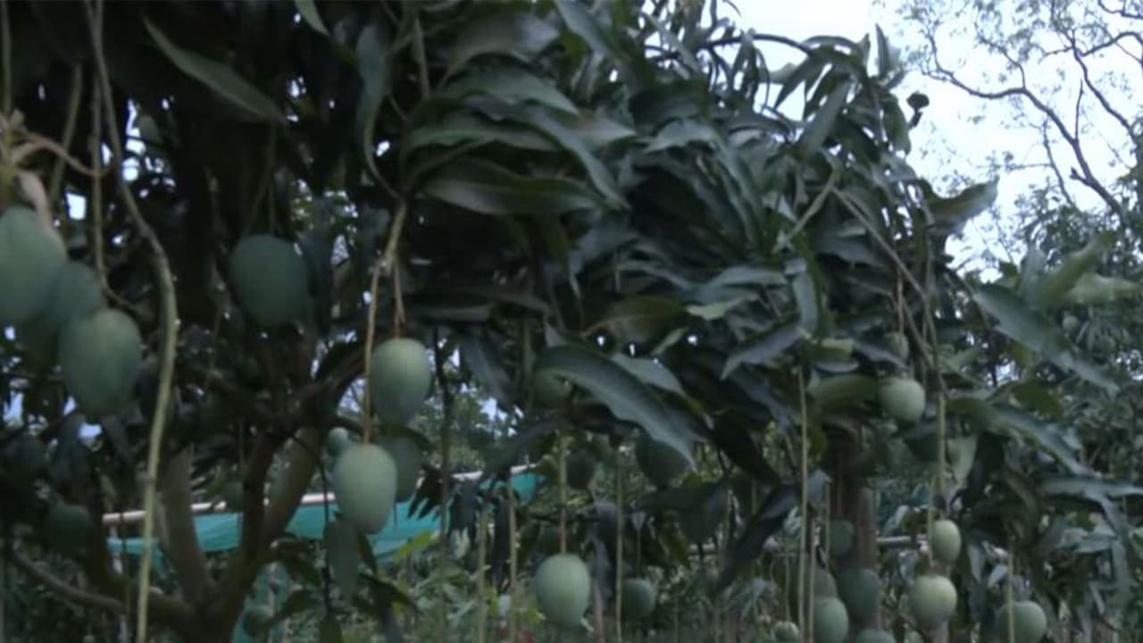 Visual from Gandatwisa area under Dhalai district (Photo/ANI) Visual from Gandatwisa area under Dhalai district (Photo/ANI)