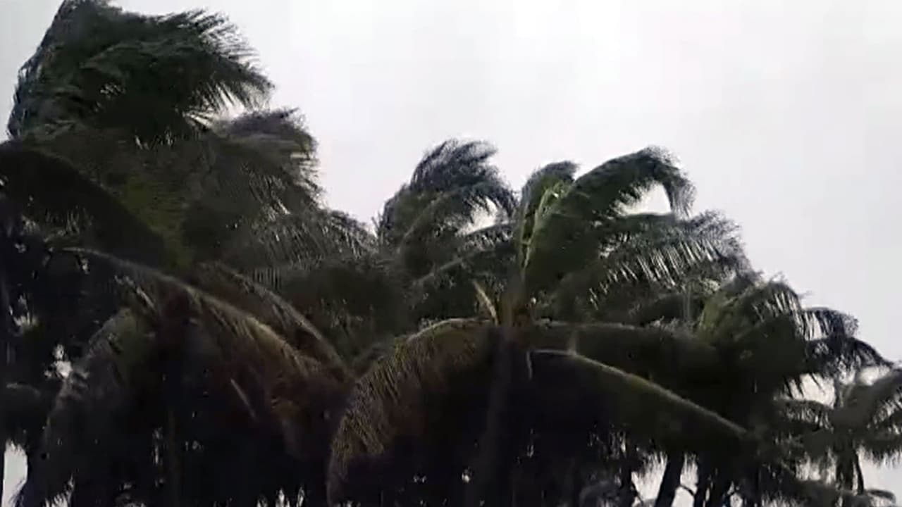 Cyclone Arnab In Visakhapatnam (FilePhoto/ANI) Cyclone Arnab In Visakhapatnam (FilePhoto/ANI)